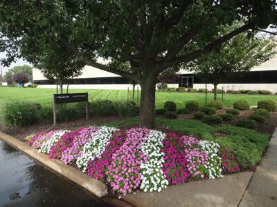 251-1661362103-scaled-400x300-1