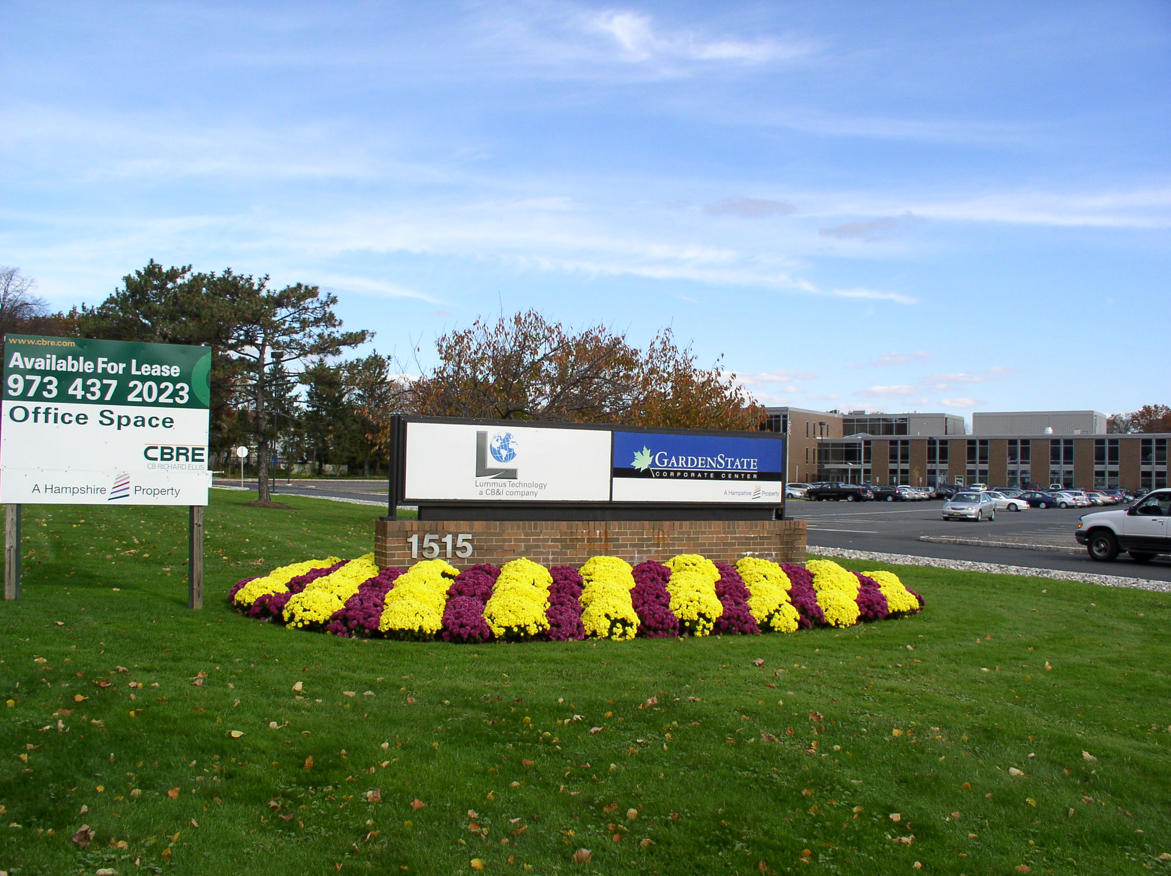 Hampshire 1515 Broad St. Mums 004