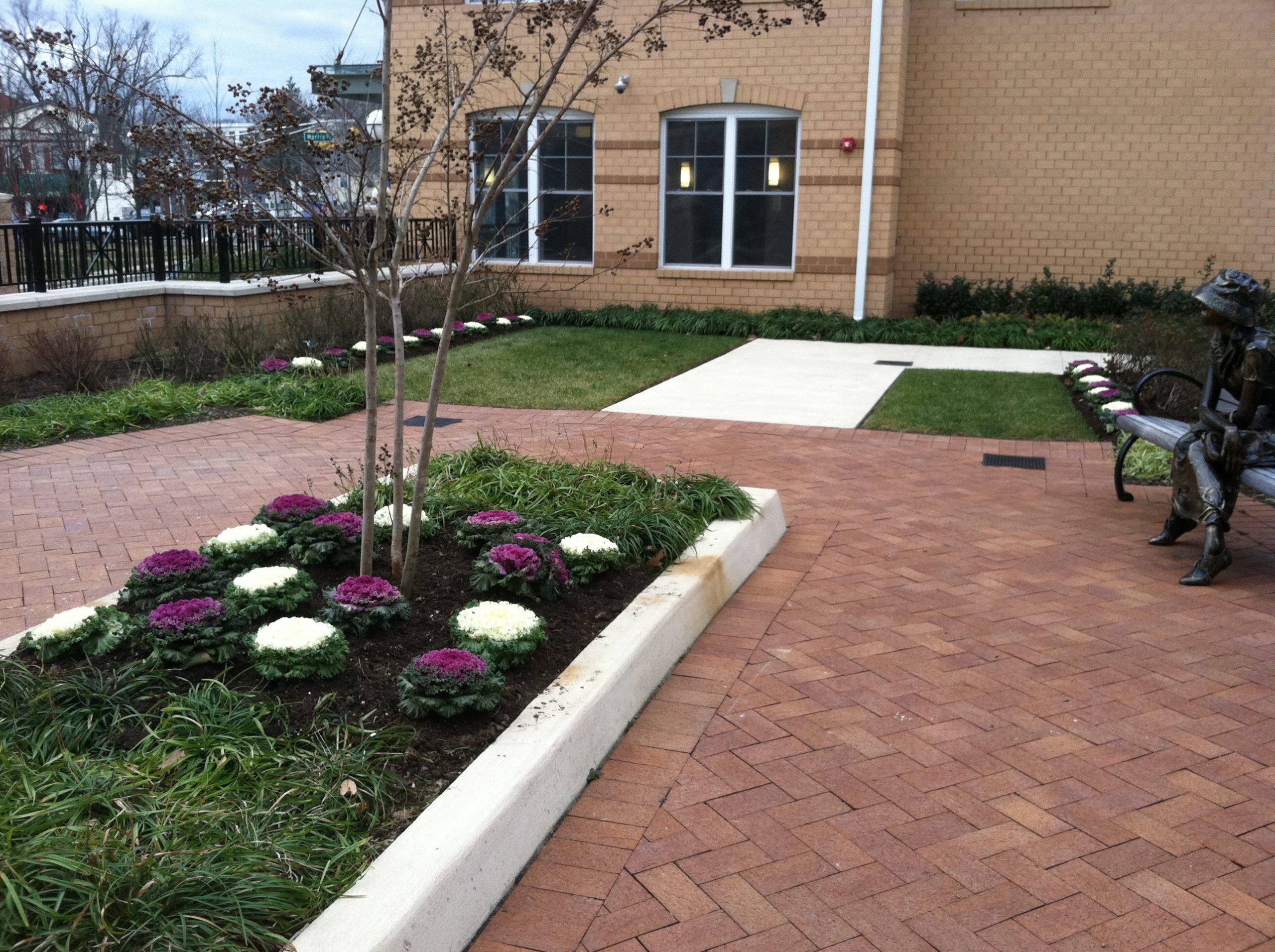 Nicks Phone Pictures 168 scaled 1